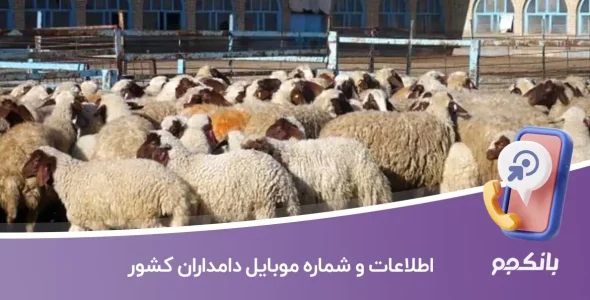 اطلاعات و شماره موبایل دامداران کشور