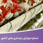 شماره موبایل مرغداری های کشور