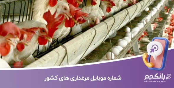 شماره موبایل مرغداری های کشور