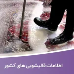 اطلاعات قالیشویی های کشور