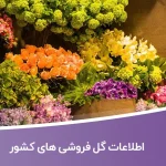 اطلاعات گل فروشی های کشور