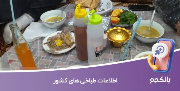 اطلاعات طباخی های کشور
