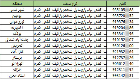 اطلاعات فروشگاه های کیف و کفش کشور
