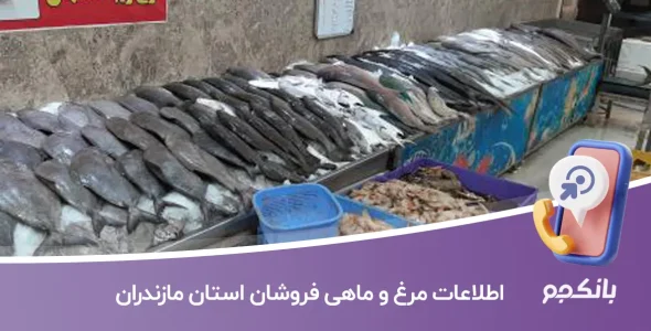 اطلاعات مرغ و ماهی فروشان استان مازندران