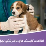 اطلاعات کلینیک های دامپزشکی تهران