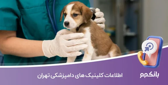 اطلاعات کلینیک های دامپزشکی تهران