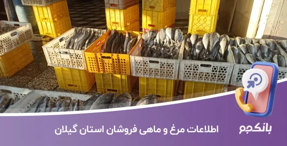 اطلاعات مرغ و ماهی فروشان استان گیلان