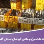 اطلاعات مرغ و ماهی فروشان استان گلستان