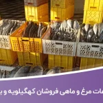 اطلاعات مرغ و ماهی فروشان استان کهگیلویه و بویراحمد