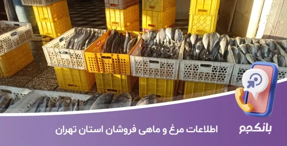 اطلاعات مرغ و ماهی فروشان استان تهران