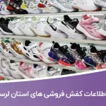 اطلاعات کفش فروشی های لرستان