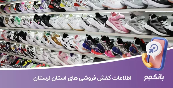 اطلاعات کفش فروشی های لرستان
