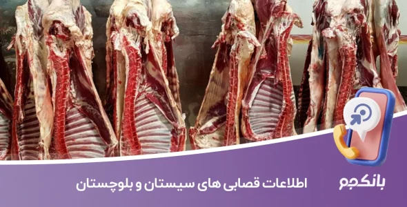 اطلاعات قصابی های سیستان و بلوچستان