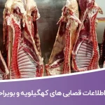 اطلاعات قصابی های کهگیلویه و بویراحمد