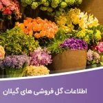 اطلاعات گل فروشی های گیلان