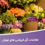 اطلاعات گل فروشی های تهران