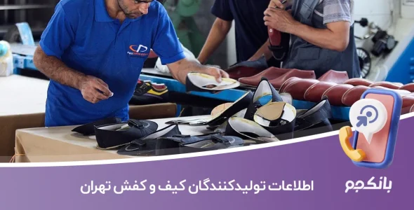 اطلاعات تولیدکنندگان کیف و کفش تهران